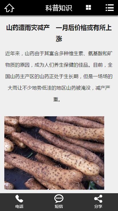 广告传媒行业网站源码 绿色通用企业类织梦 (带