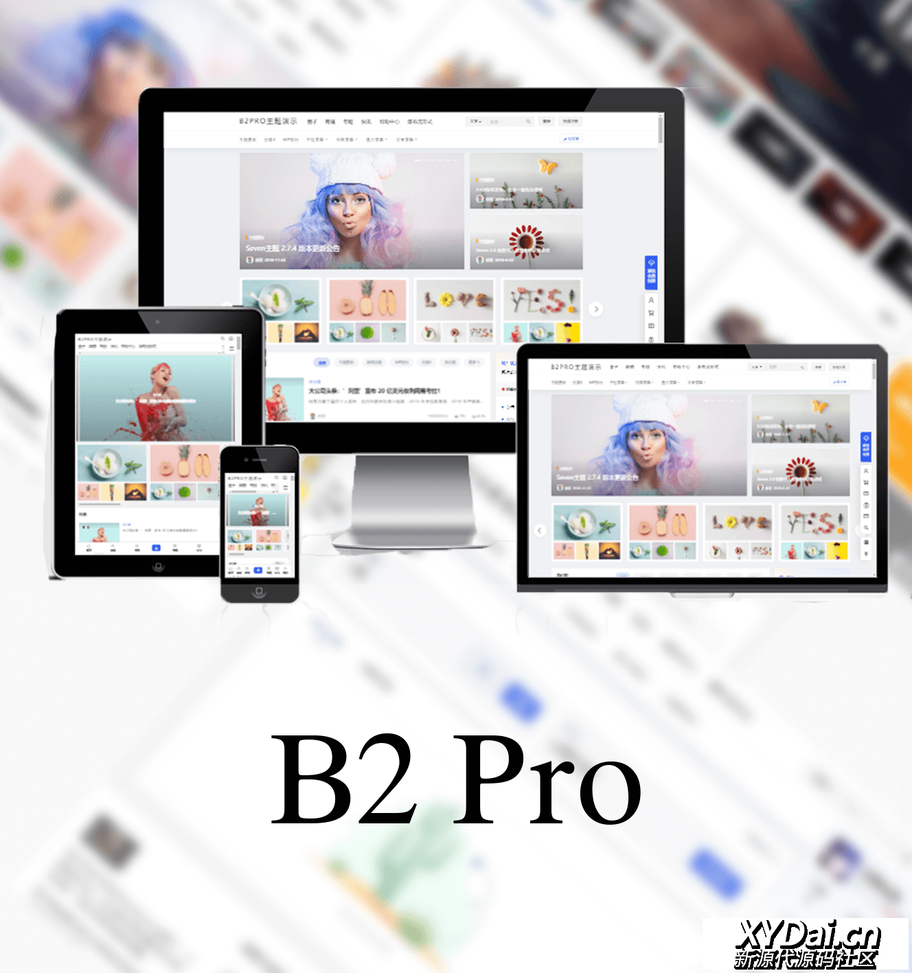 价值300元的多功能博客模板B2 PRO – v4.2.6 免授权修复版